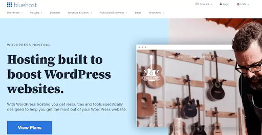 Bluehost banner