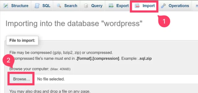 Screenhot showing how to upload files into WordPress directory