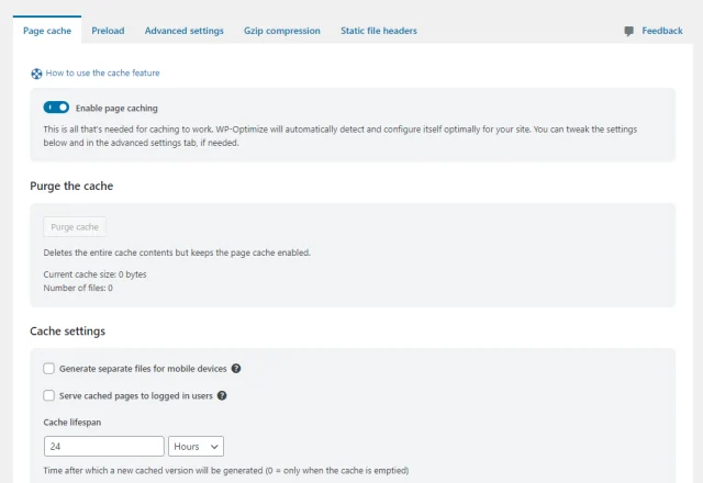 Page cache